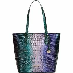 Cheap ๐ฅฐ Brahmin Enchant Ombre Melbourne Ellen Tote ๐
